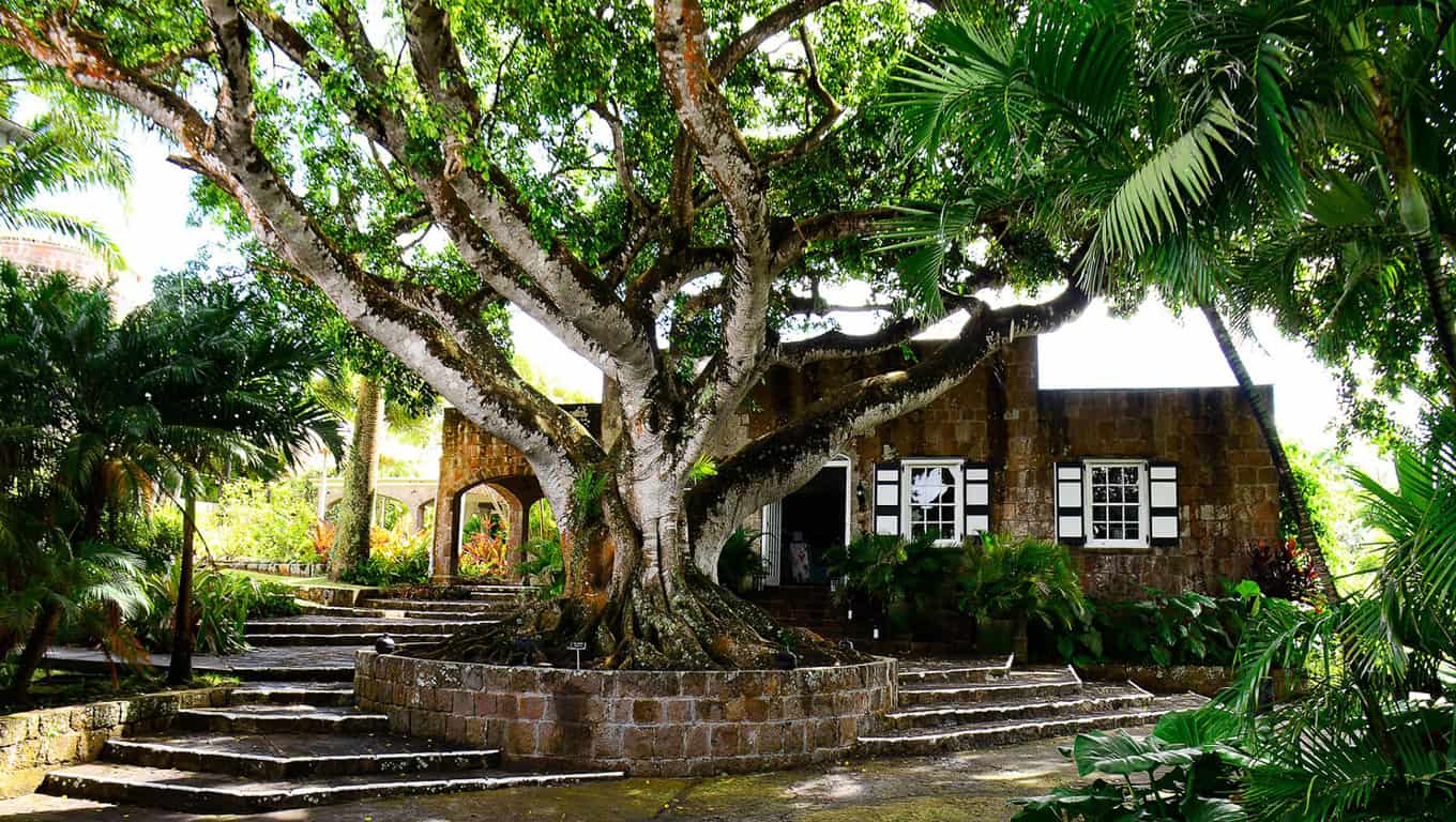 Montpelier Plantation Inn - Nevis