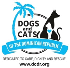 Dogs and Cats of Punta Cana